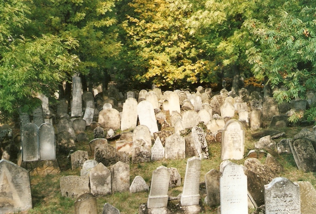Židovský hřbitov
